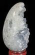 Crystal Filled Celestine (Celestite) Egg - Madagascar #66108-1